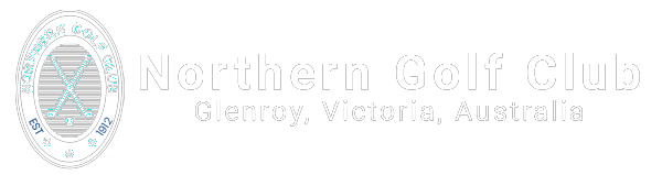 northern logo white